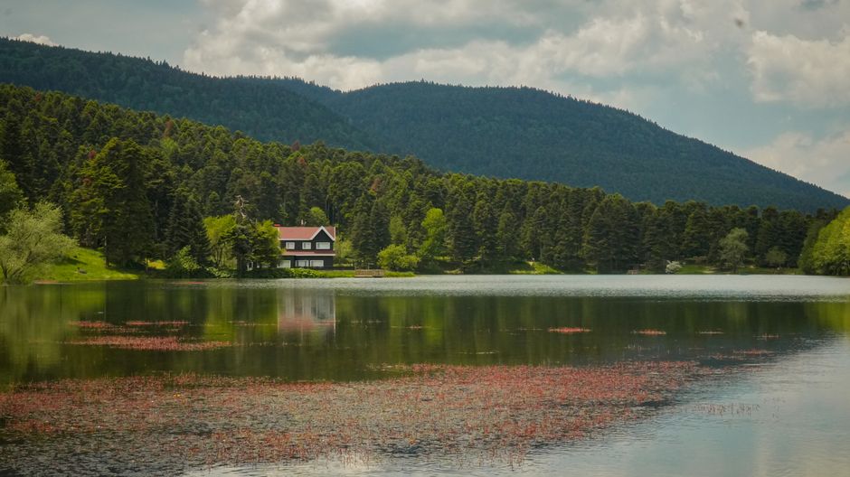 Озеро Абант, окружённое лесом